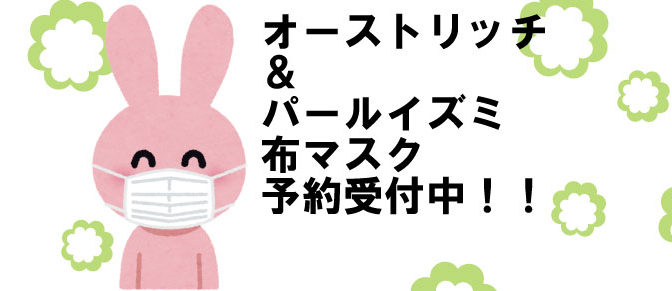 オーストリッチ＆パールイズミ　マスク予約受付中！