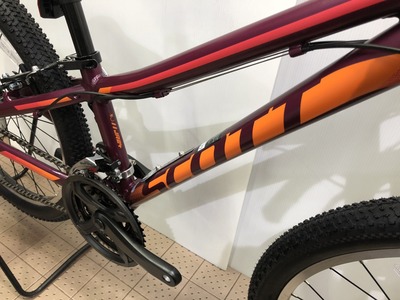 image_xlarge (62)